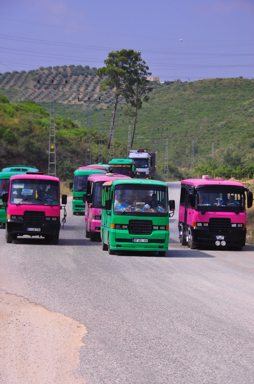 Cabrio Safari Tour — safari turundan kare 7